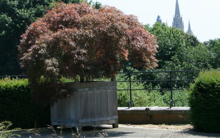 beauregard houten plantenbak