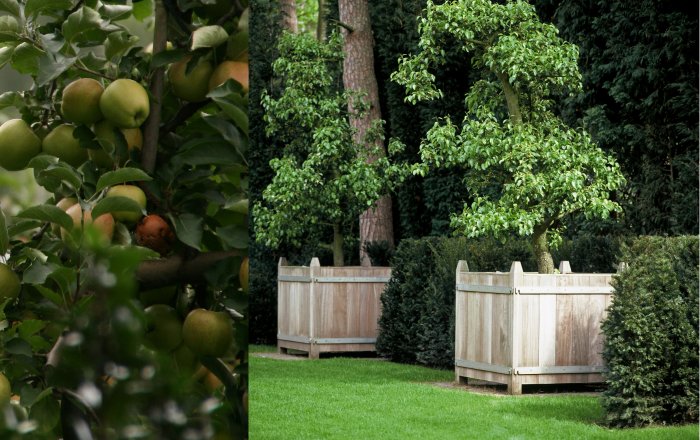 beauregard houten plantenbak