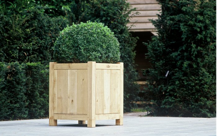 neumeister flower box