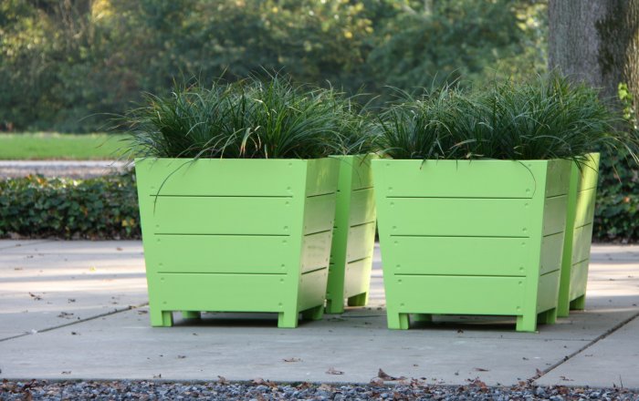 ortelius n°1 flower box
