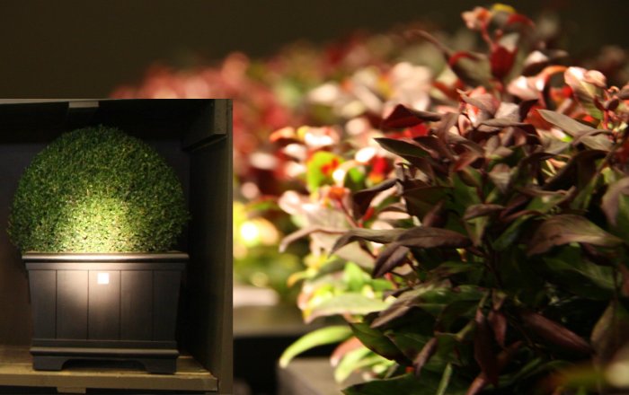 valence bac à plantes